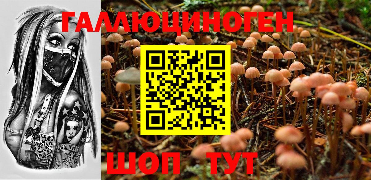Галлюциногенные грибы GOLDEN TEACHER  Вход с VPN  Георгиевск 
